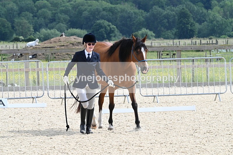 WJ7_8195 - Time 16:10 to 16:25