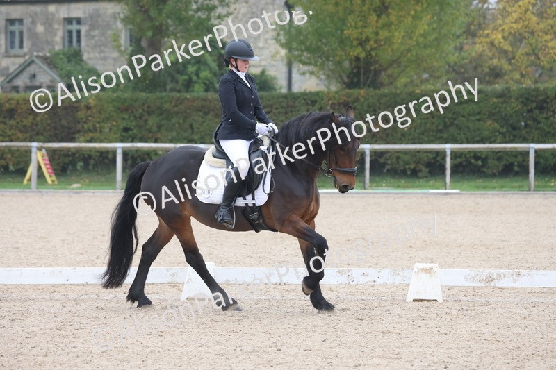 20251012-0437 - Class 3 - Novice 5