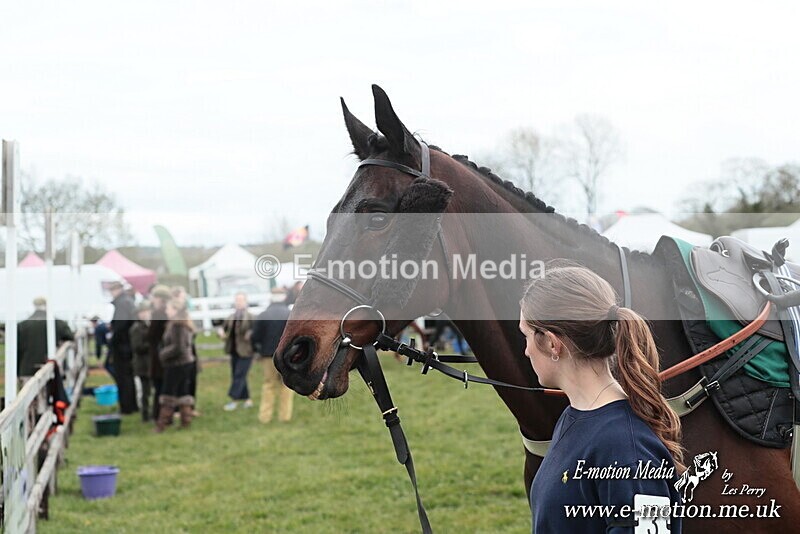 PtP 130425 28 - Edgecote Races 13/04/25