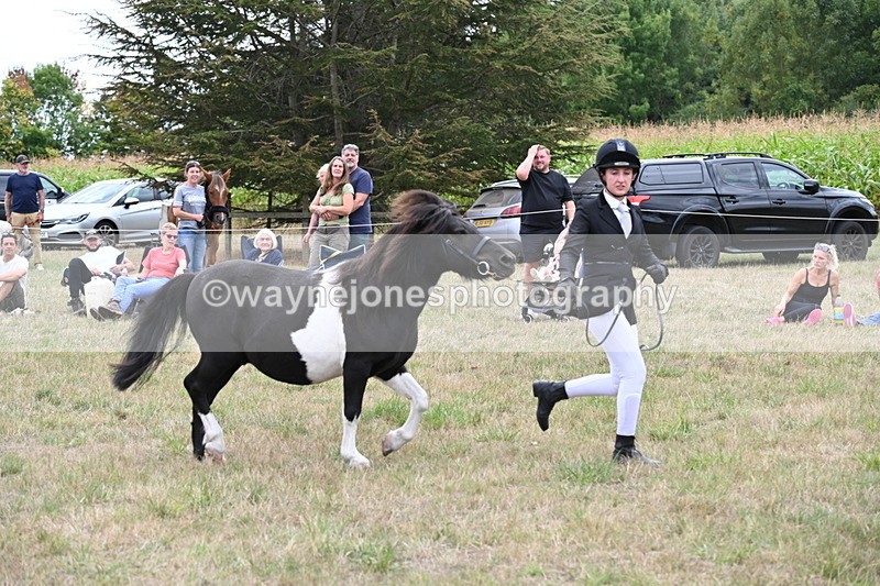 WJ6_5543 - Class 18 In-hand Coloured