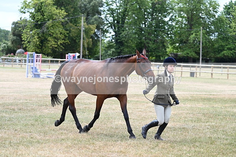WJ7_1898 - Class 4a Prettiest Mare 14.2hh and over hand