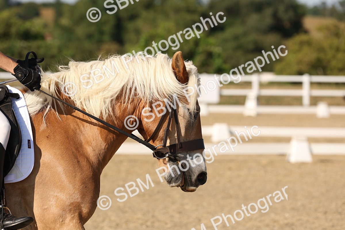 SBM_006943 - Prelim 4 - 15.56-17.51