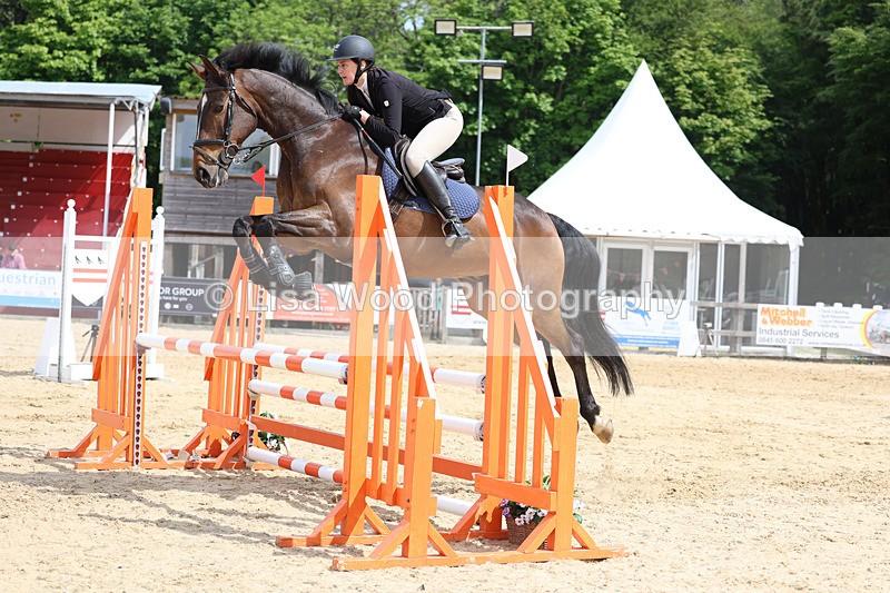 3E7A8734 - Class 4: Senior British Novice/90cm open