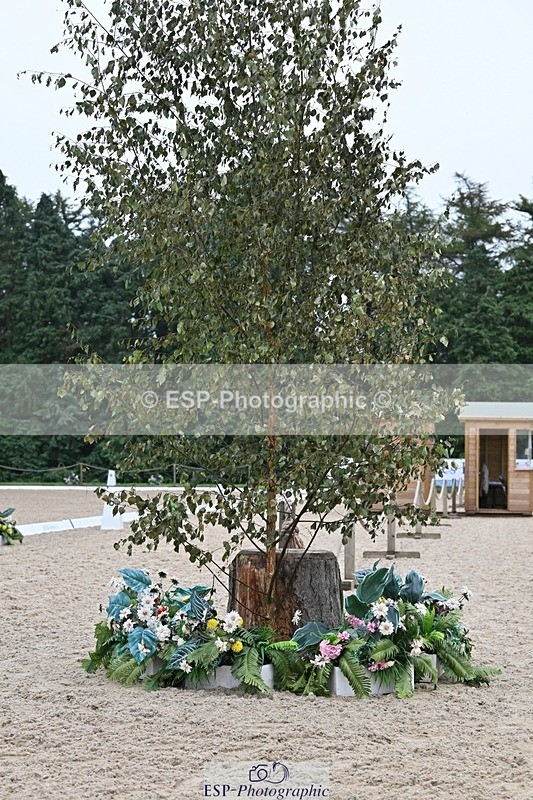 240811-131730-05860 - Adv Medium Silver