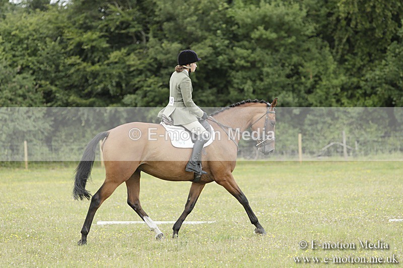 BVR160717-1462 - Class 3 Dressage 16/07/17