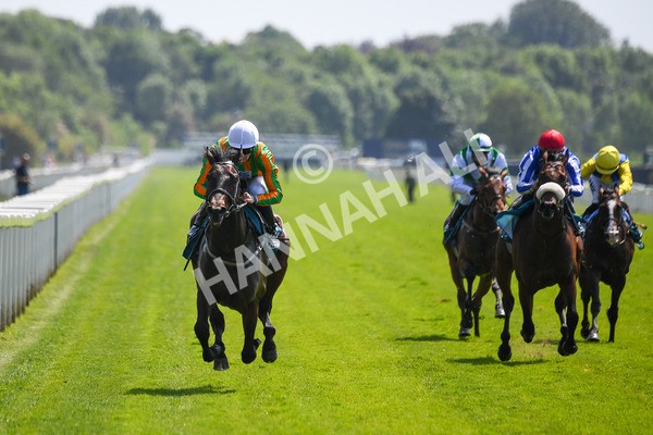 270523-Race 2-Native American-0295 - Race 2 2.10pm Collective Green Energy EBF Restricted Novice Stakes