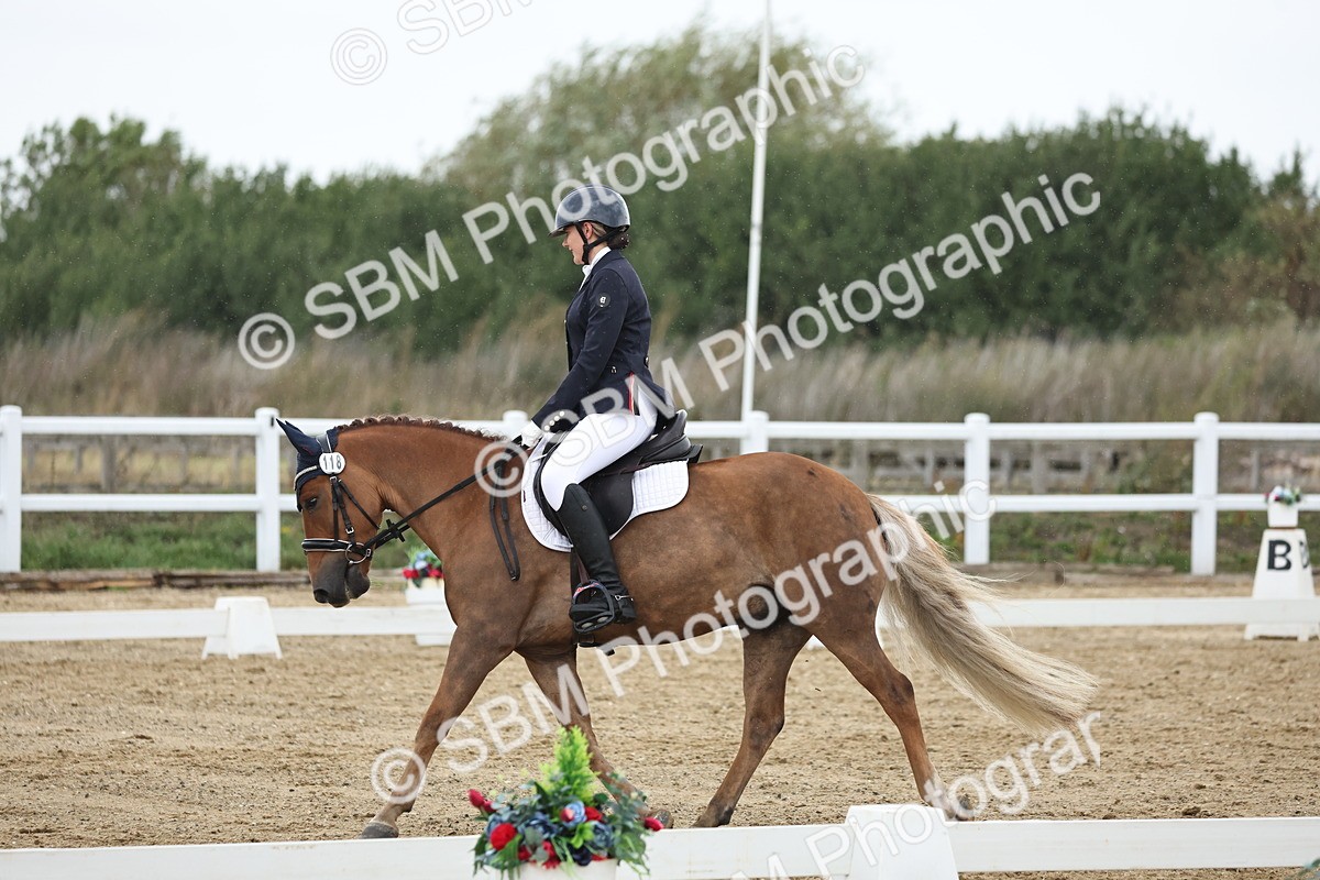 SBM_004322 - Class 8 - Novice 3 Champs
