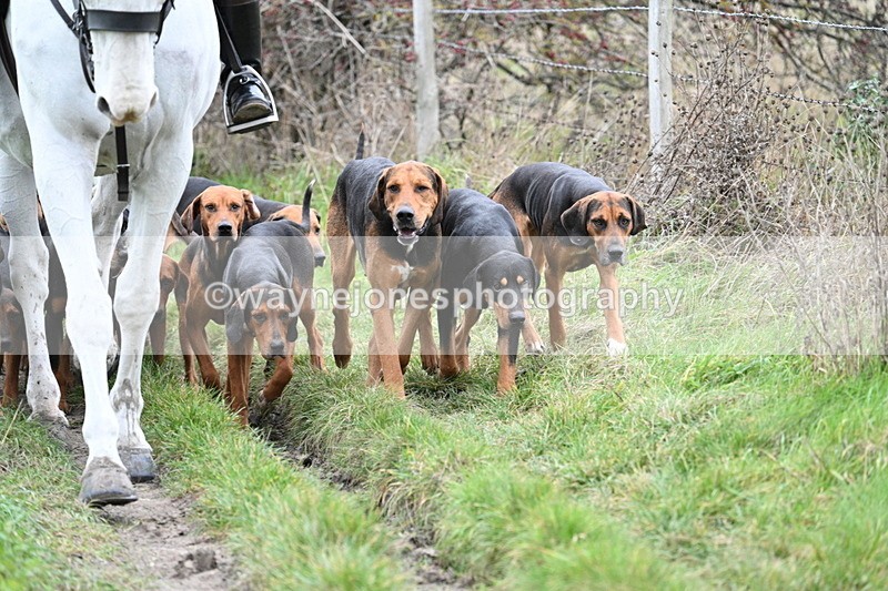 WJ7_0824 - First Seen