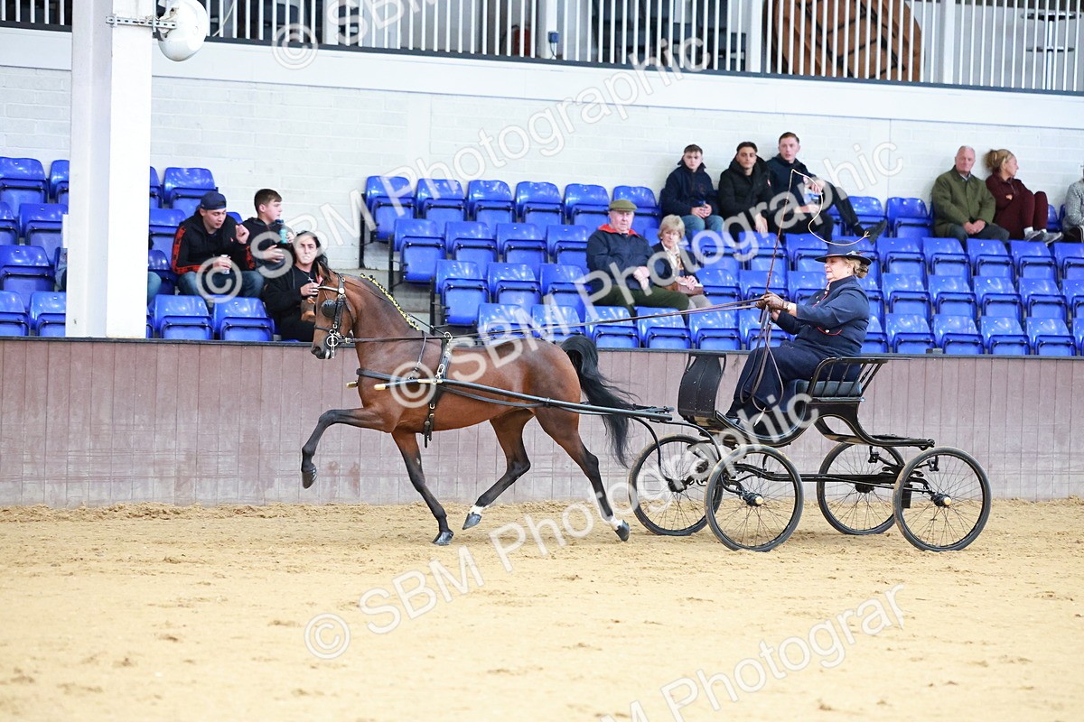 SBM_000648 - Class 9 - HHS Championship Intl Hackney Pony to a Showwagon