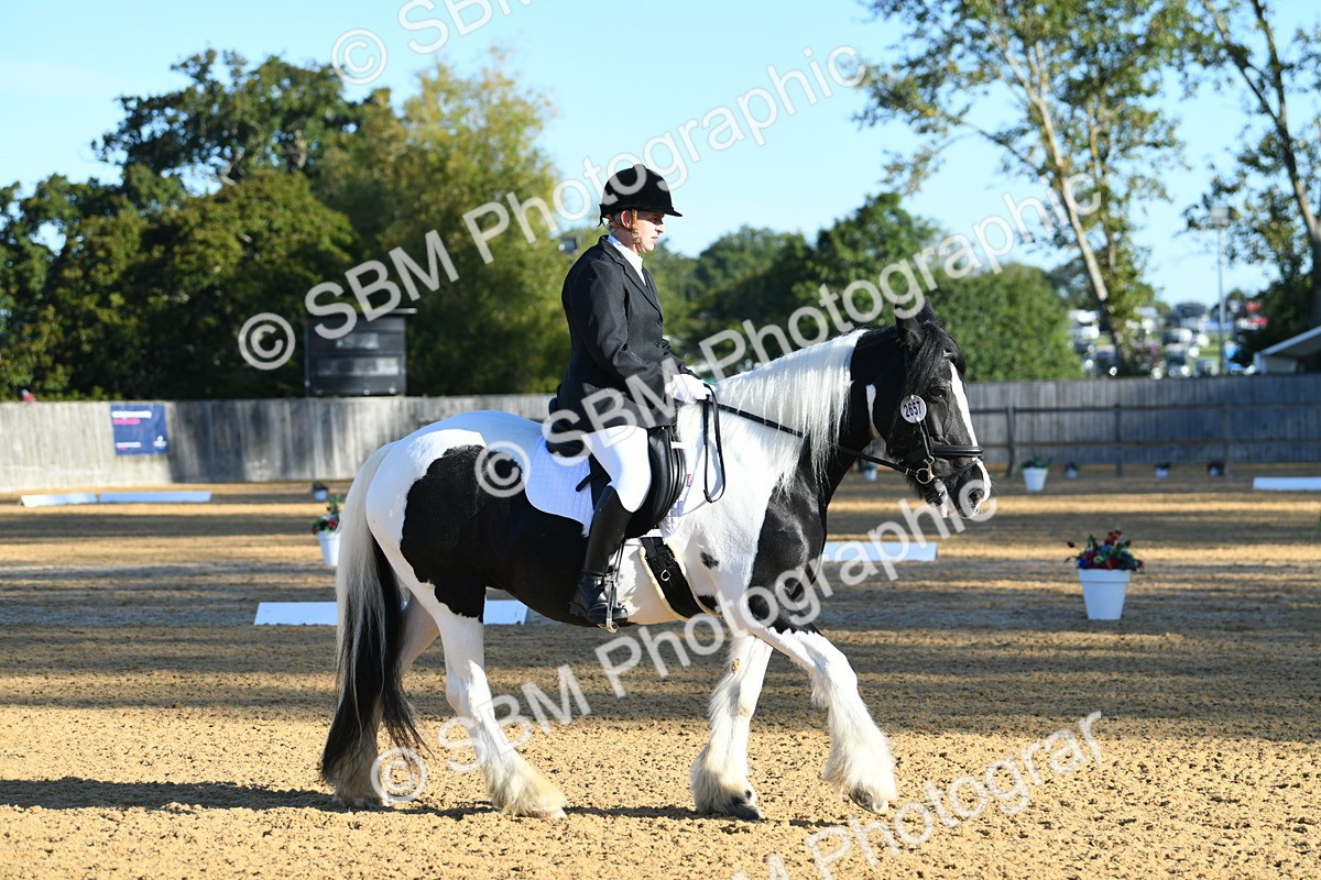 SBM_14447 - D4 - Small Tour Championship - Intro B