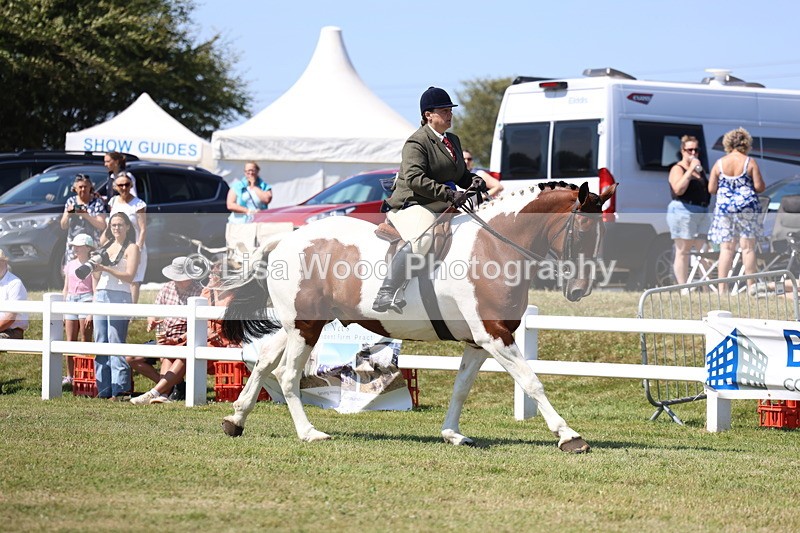 3E7A7500 - Rising Star Ridden Championship