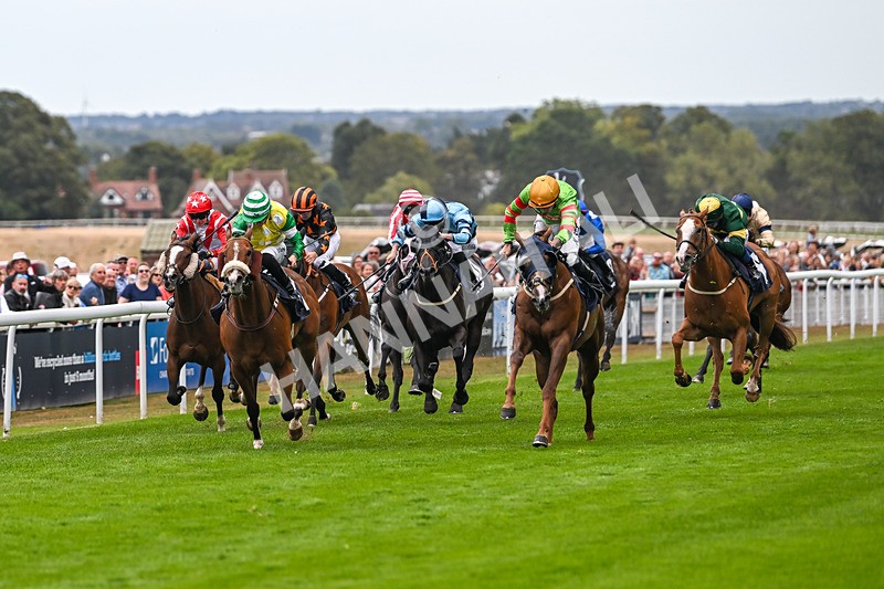 300825-Race 6-Hundred Caps-1779 - Race 6