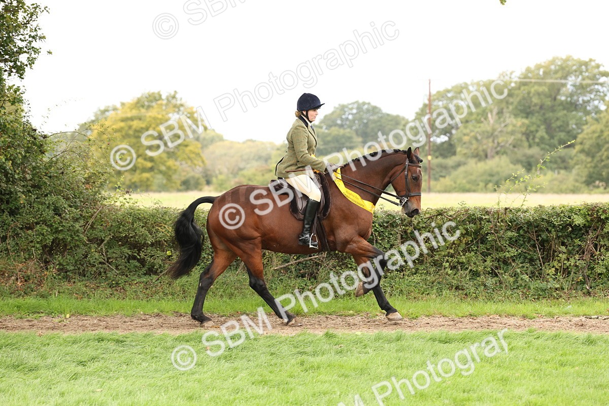 SBM_66417 - S66 - Hunter Ridden