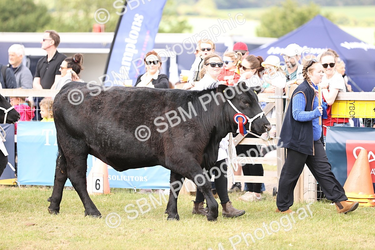 SBM_16896 - Grand Parade
