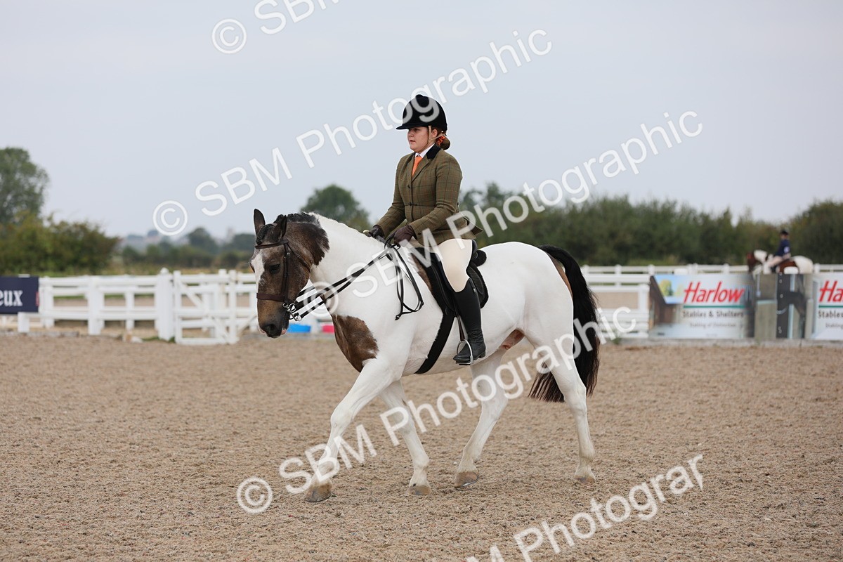 SBM_12722 - Class 307 Ridden Coloured Pony