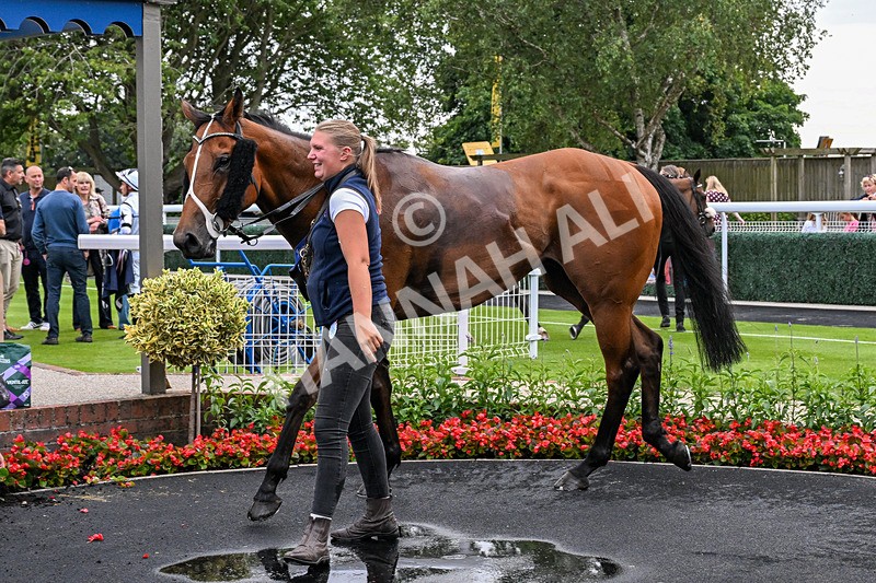 030726-Race 4-Midnight Strike-2380 - Race 4 19.35pm Westwood Selling Stakes