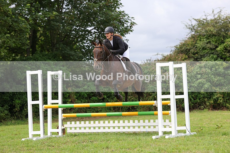 3E7A6918 - Class 5: Senior British Novice/90cm open