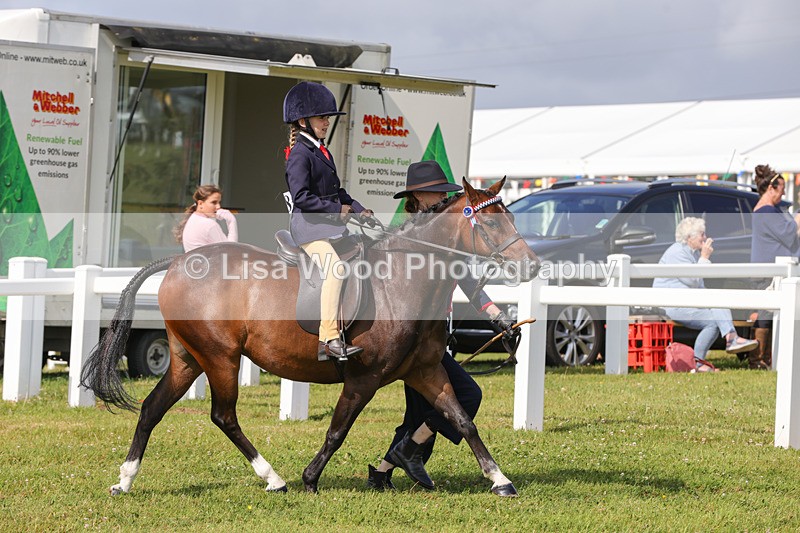 1X9A3570 - Class 29: Lead Rein SP/SHP