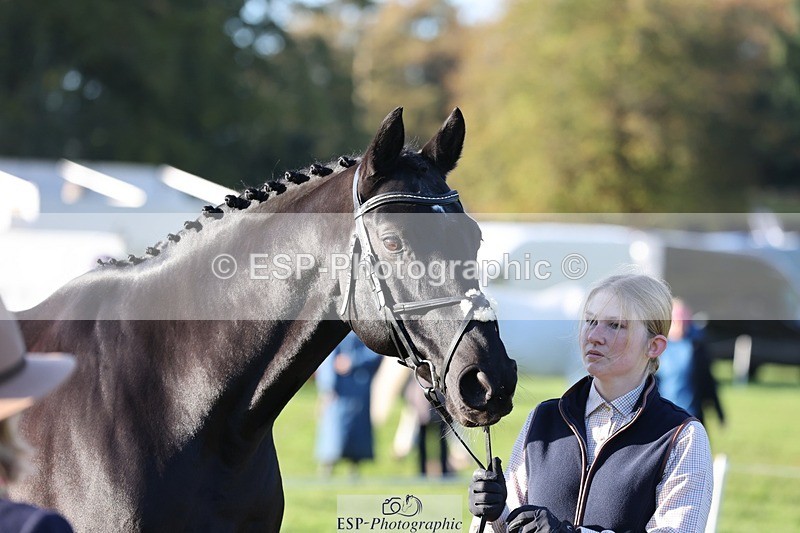 241027-090507-15021 - 417-Abigail.Brittain-CNC.FUTERMA