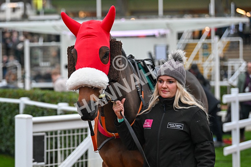 151124-Race 6-Paddock-Shinji-8709 - Race 6