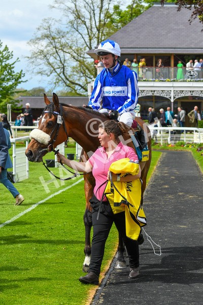 170523-Race 2-Bielsa-0337 - Race 2 2.25pm Churchill Tyres Handicap