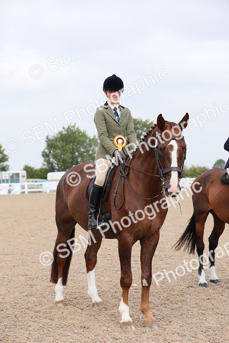 SBM_11485 - Class 305 Ridden Foreign Breeds- Pure Bred