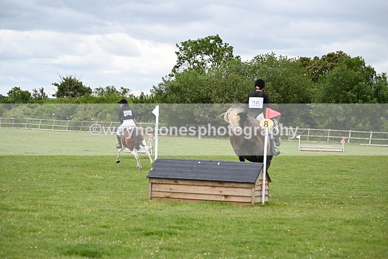 WJ6_3641 - Class 5 80cm Pairs