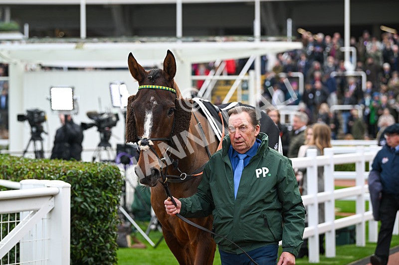 161124-Race 4-Paddock-Weveallbeencaught-0253 - Race 4