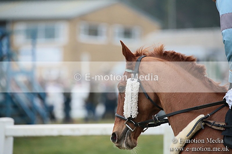 PtP 170219 -182 - Combined Services Point-To-Point Larkhill 17/02/19