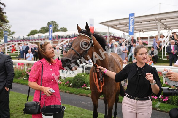 yr18082022r5-46 - Race 5 4.10pm British EBF & Sir Henry Cecil Galtres Stakes