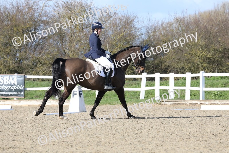 20260314-5053 - CT6 - Elementary 1