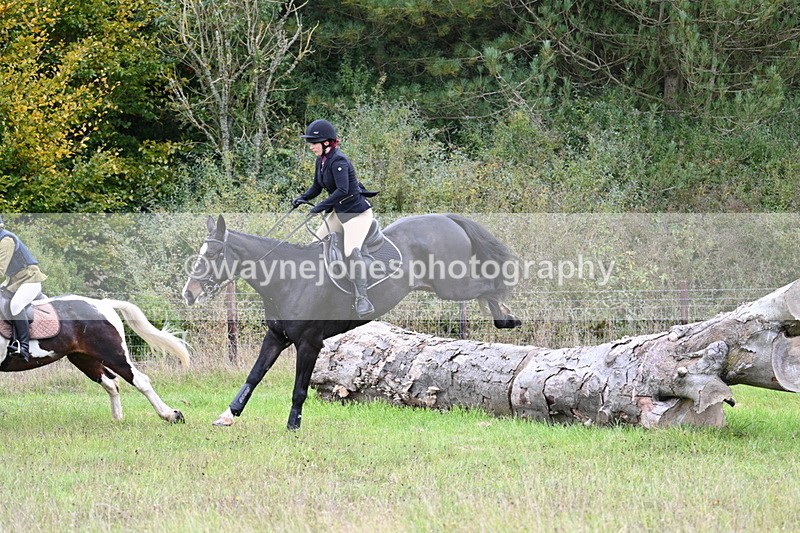 WJ7_3771 - Camera 1 Line 1