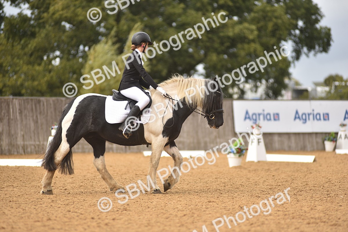 SBM_42538 - D22 - Junior Championship Intro 3