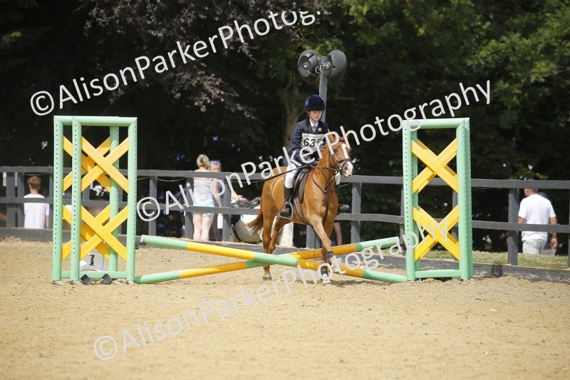 20250622-4000 - 50cm