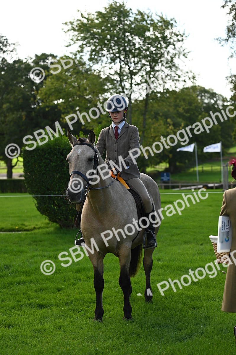 SBM_02093 - S2 - TSR Ridden Horse Showing