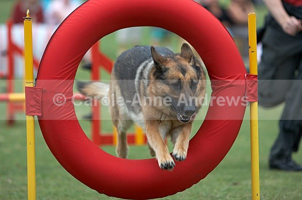  - Tendring Agility Group- St Osyth Summer Fete
