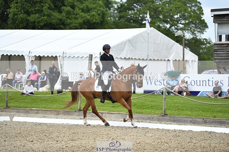 230525-125038-02041 - 111-CREEVAGHSTABLES_IFICUDIWUD-Tim_Cheffings-WEDTrotUp+DR