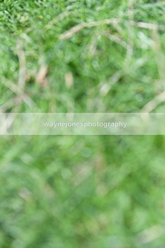 WJ5_8948 - Time 12:34 to 12:57