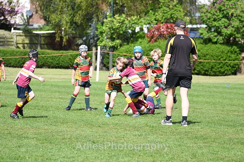  - Selby Rugby Festival 2025