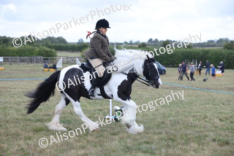 20250831-4255 - Class 20 - Ridden Coloured