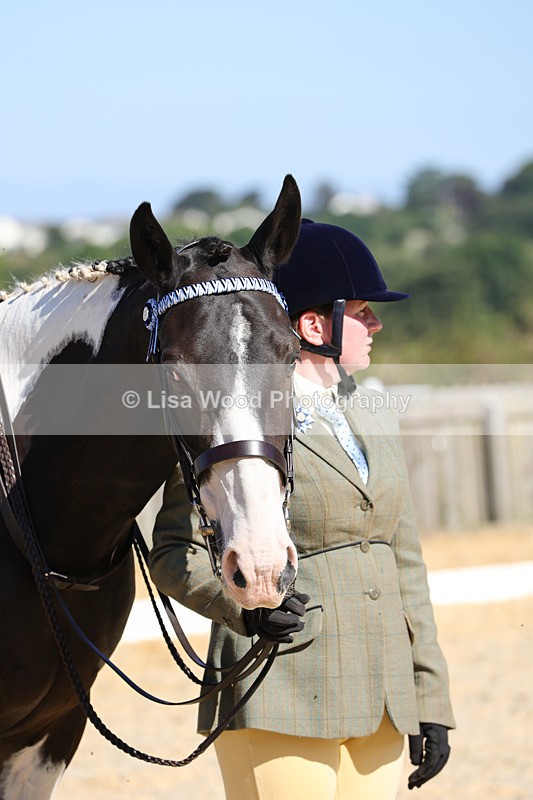 1X9A7920 - Class 10:Riding Horse