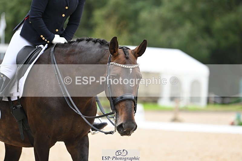 230813-154629-08252 - Cls 14 Medium Silver Start to 16.25 break