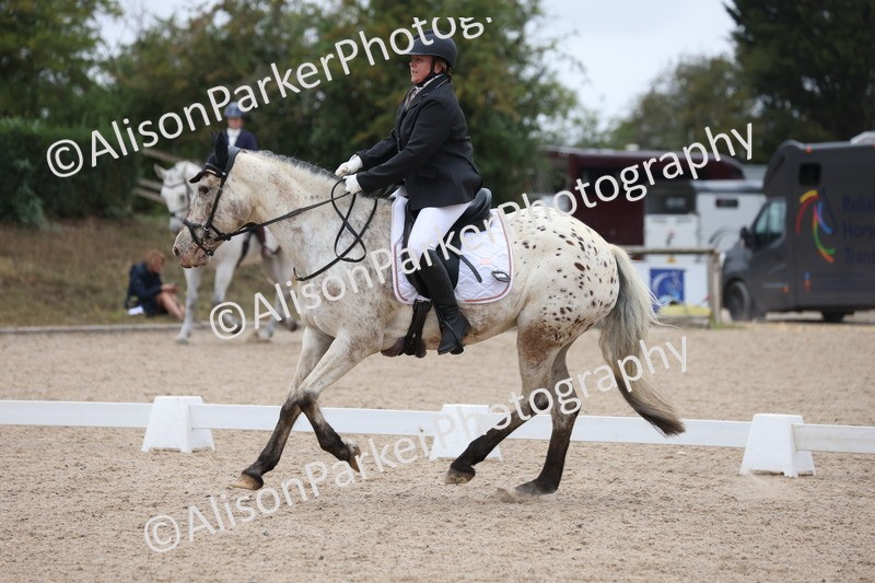 20250820-0298 - Class 9 - My Quest Prelim 3