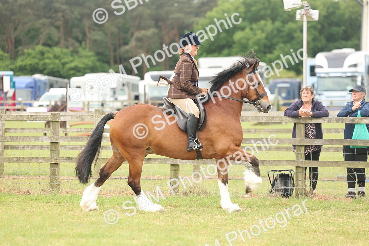 SBM_07280 - Class 76-77 - Ridden M&M Welsh Ponies