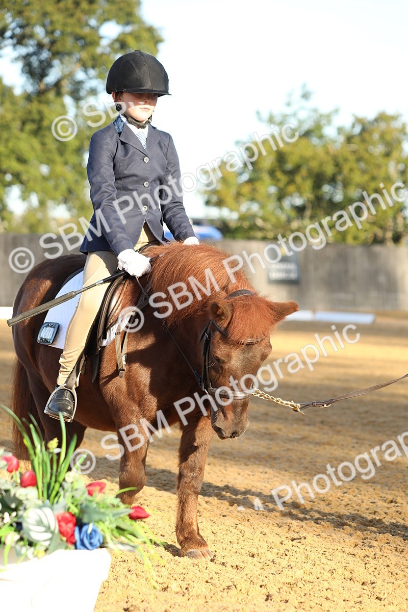 SBM_33618 - D26 - Starers - Lead Rein