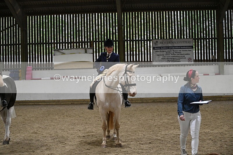 WJ7_3707 - Class 16 Ridden Coloured/ Odd Coloured