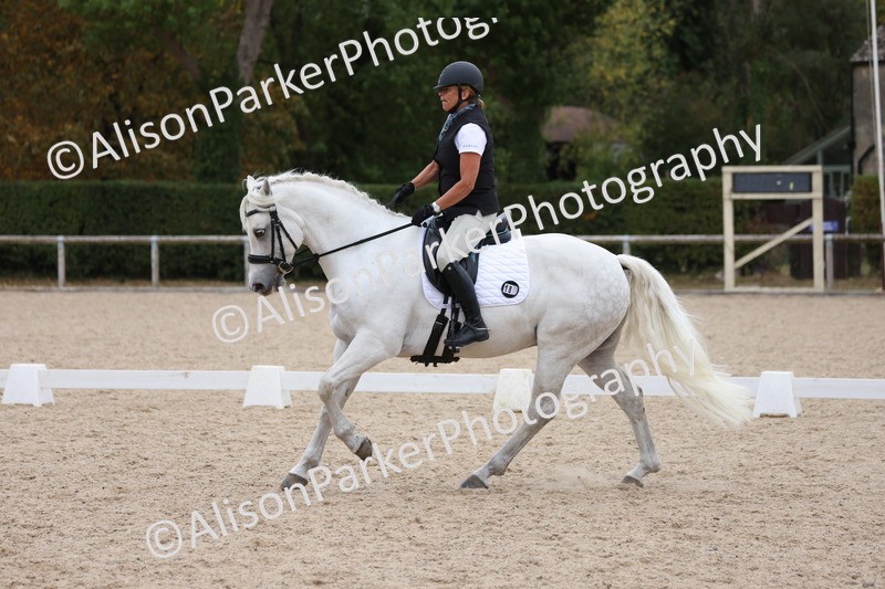 20250820-1004 - Class 16 - Novice 5