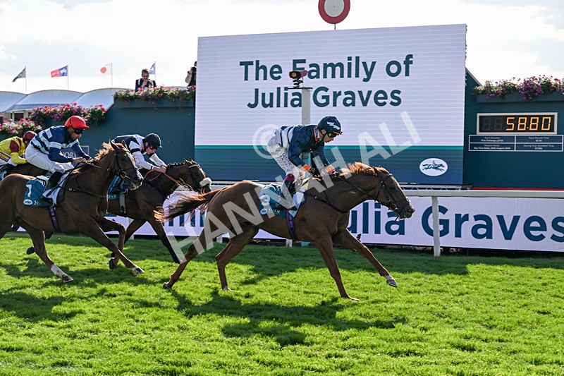 220826-Race 6-Sale Shark-1573 - Race 6 16.45pm Julia Graves Roses Stakes