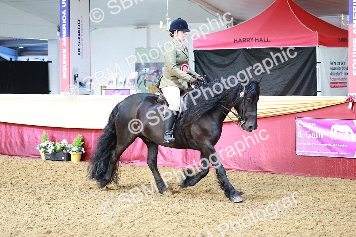 SBM_12009 - Class 102 - Equitation (Best Rider) Adult