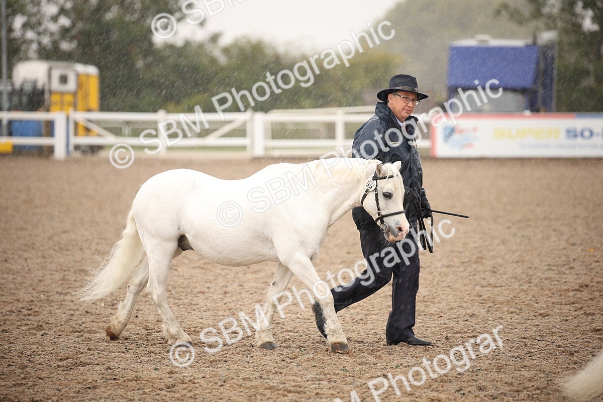 SBM_20661 - Class 705 - IH  Combination 65+